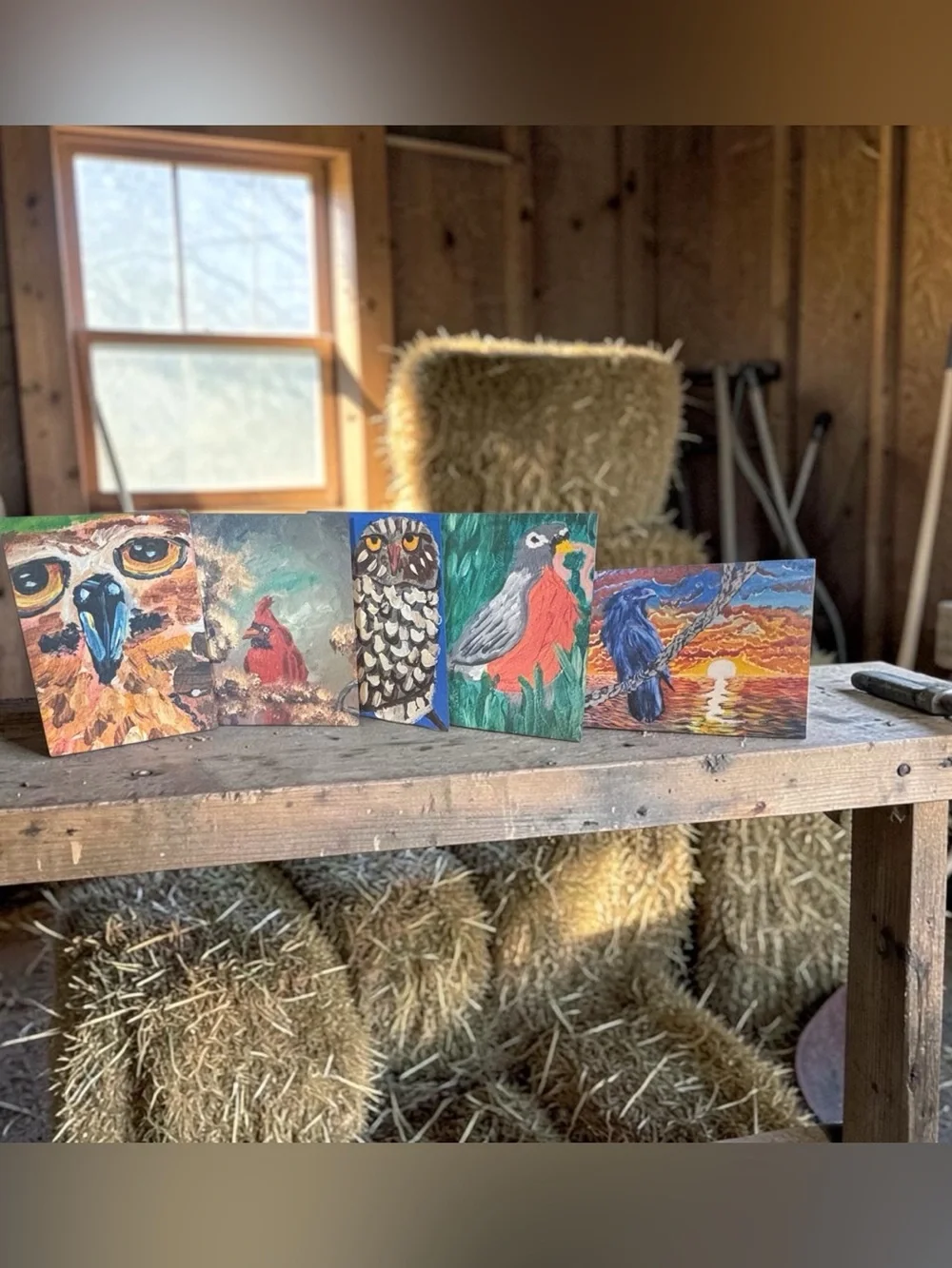 Birds of Wonder Greeting Card Set of 5 by Briefcase Artist